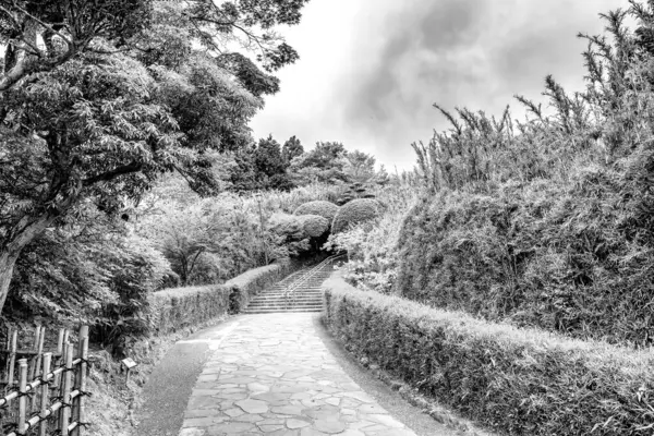 stock image Road in summer with trees and bushes at daytime