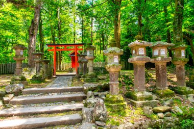 Bahar mevsiminde Nara Park ve Red Torii kapısı, Japonya.