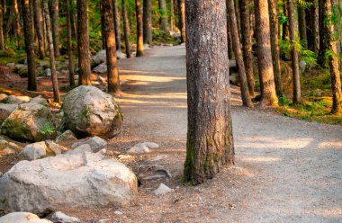 British Columbia 'daki Brandywine Şelalesi Parkı.