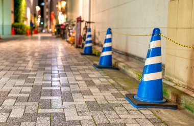 Tokyo Caddesi, Japonya..