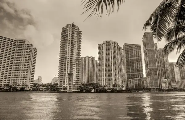 Downtown Miami skyscrapers from Miami Riverwalk at sunset, Florida