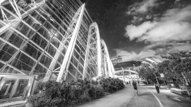 Singapur - 13 Eylül 2023: Körfez binalarının yanındaki bahçeler ve gece park.