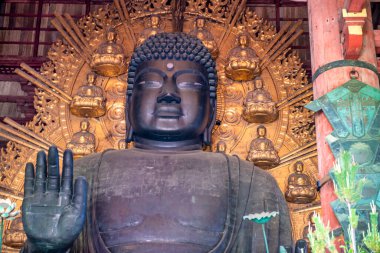 Nara, Japonya. Todai-Ji Tapınağının İçi Büyük Buda Salonu.