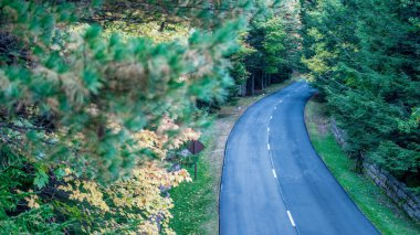 Sonbaharda ormanın içinden yol geçen bir arazi gezisi. Günbatımında sonbahar ormanı. Güzel boş dağ yolu, kırmızı ve turuncu yapraklı ağaçlar..