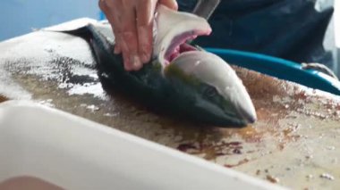 Tokyo Balık Pazarı. Bir adam balık temizliyor..