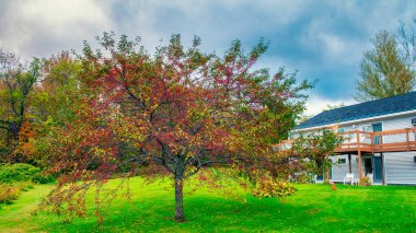 Ormanda bir ev, sonbahar yaprakları mevsimi..
