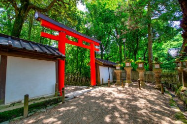 Kasuga Sığınak Parkı 'ndaki İkinci Torii Kapısı.