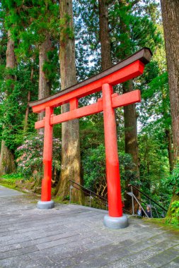 Hakone-machi 'deki Hakone Tapınağı' nın Ashi Gölü 'ne açılan kırmızı torii kapısı..