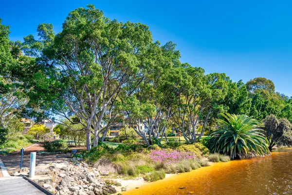 stock image Mardalup Park and Swan River in Perth, Australia