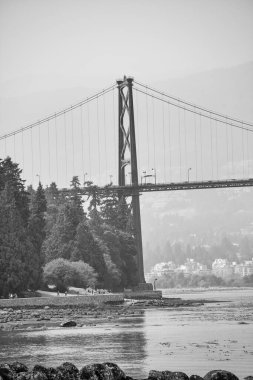 Güneşli bir günde Stanley Park 'tan Vancouver.
