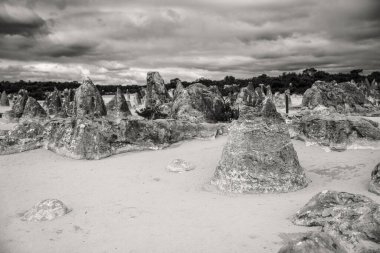 Nambung Ulusal Parkı 'ndaki Pinnacles Çölü' nün Ay manzarası, Batı Avustralya, Avustralya.