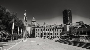 Calgary, Alberta - 10 Temmuz 2024: Güneşli bir günde şehir merkezindeki Calgary 'de park,