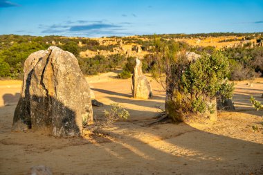Güneş batarken Batı Avustralya 'daki Nambung Ulusal Parkı' ndaki Pinnacles Çölü 'nün ay manzarası..