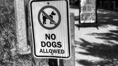Şehir parkında Köpek Yasaktır.