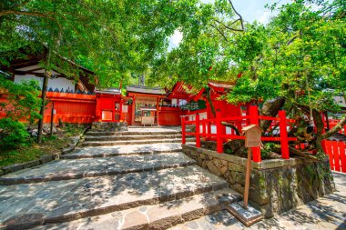 Bahar mevsiminde Kasuga Tapınağı ve Tapınağı, Japonya.