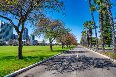 Langley Park ve Perth Skyline güneşli bir günde, Avustralya