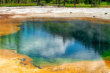 Siyah Kum Havzası Yolu 'ndaki Gayzerler, Yellowstone Ulusal Parkı.