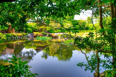 Nara, Japonya. Isuien Bahçesi ve güneşli bir bahar gününde ağaçlar.