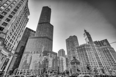 Chicago, IL - 26 Temmuz 2024: Gün batımında Chicago Gökdelenleri.