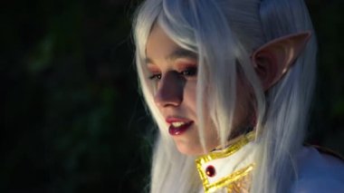 Lucca, İtalya - 1 Kasım 2024: Lucca Comics ve Games, Lucca Comics ve pop kültürünün coşkulu bir kutlaması binlerce hayranını Lucca 'nın ortaçağ sokaklarına getirdi