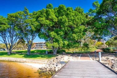 Mardalup Park ve Kuğu Nehri Perth, Avustralya
