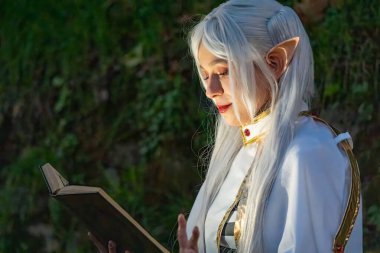 Lucca, İtalya - 1 Kasım 2024: Lucca 'nın tarihi merkezinin kalbinde Lucca Çizgi Roman ve Oyunları için her yıl Kostümler, çarpıcı kostümler ve detaylı makyaj için bir araya gelirler..