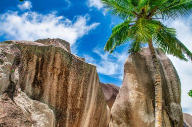 La Digue Adası, Seyşeller, Afrika 'nın inanılmaz manzarası.