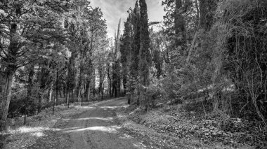 Volterra 'nın Terk Edilmiş Tımarhanesi' nin Hayaletli Görüntüleri: Karanlık Geçmişine Bir Bakış.