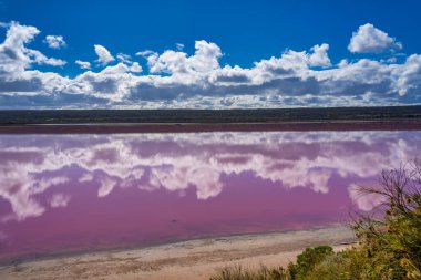 Colors and reflections of Pink Lake, Port Gregory. Western Australia. clipart