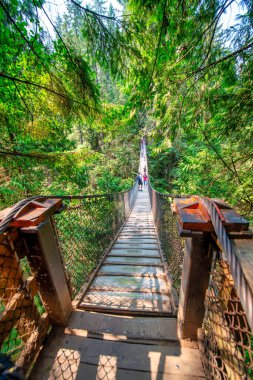 Lynn Canyon North Vancouver 'daki Twin Falls Askı Köprüsü.