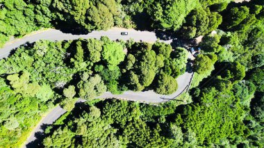 Downward aerial view of a beautful windy road across a forest.