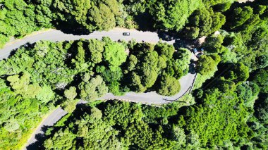 Downward aerial view of a beautful windy road across a forest. clipart