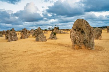 Güneş batarken Batı Avustralya 'daki Nambung Ulusal Parkı' ndaki Pinnacles Çölü 'nün ay manzarası..
