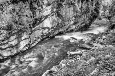 Johnston Kanyonu 'nun Manzaralı Patikaları ve Şelaleleri, Banff.