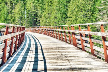 Tarihi demiryolu köprüsü Kinsol Trestle 'nin (Koksilah River Trestle) tahtadan yapılmış görüntüsü - Vancouver Adası