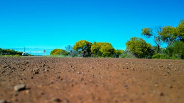 Baharda Batı Avustralya boyunca uzanan yol.