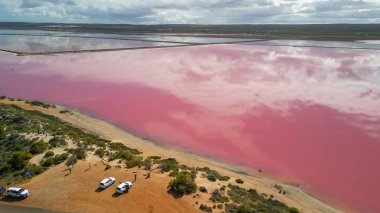 Vibrant pink hues of Hutt Lagoon captured from above, a natural wonder in Western Australia. clipart