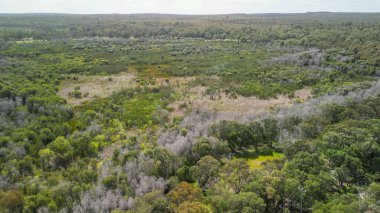 Yanchep Ulusal Parkı 'nın nefes kesici görüntüsü Batı Avustralya' daki yemyeşil manzaraları ve yerli bitkileri vurguluyor..