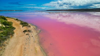 Hutt Gölü 'nün canlı pembe renkleri Batı Avustralya' nın doğal harikalarından biri olan yukarıdan çekildi..