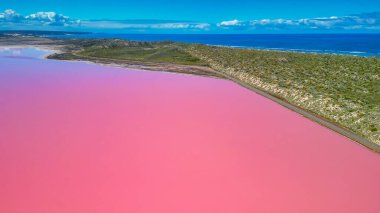 Hutt Gölü 'nün canlı pembe renkleri Batı Avustralya' nın doğal harikalarından biri olan yukarıdan çekildi..