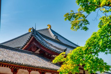 Nara, Japonya. Todai-Ji Tapınağının dışı Büyük Buda Salonu.