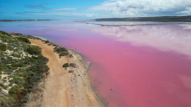 Hutt Gölü 'nün canlı pembe renkleri Batı Avustralya' nın doğal harikalarından biri olan yukarıdan çekildi..