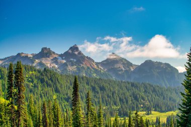 Yaz sezonunda Mount Rainier Ulusal Parkı 'nın muhteşem manzarası, Washington - ABD.