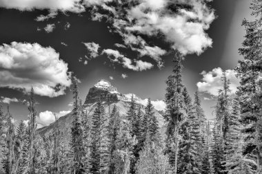 Johnston Kanyonu 'nun etrafındaki dağlar, Banff.