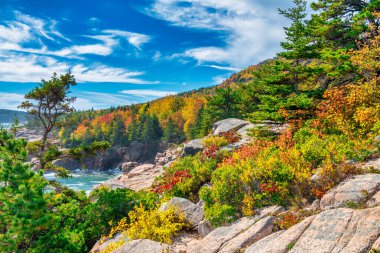 Acadia Ulusal Parkı Yeşillik Mevsimi, Doğanın Panoramik Güzellik Manzarası.