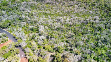 Aerial view of Lake Cave, Western Australia. clipart