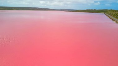Hutt Gölü 'nün canlı pembe renkleri Batı Avustralya' nın doğal harikalarından biri olan yukarıdan çekildi..