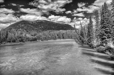 Banff Town 'un karşısındaki Bow Nehri Alberta, Kanada.