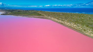 Hutt Gölü 'nün havadan görünüşü, Batı Avustralya, Port Gregory' deki büyüleyici pembe göl..