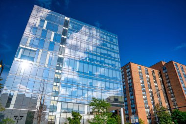 Chicago, IL - 27 Temmuz 2024: Bir yaz günü Şikago Binaları.